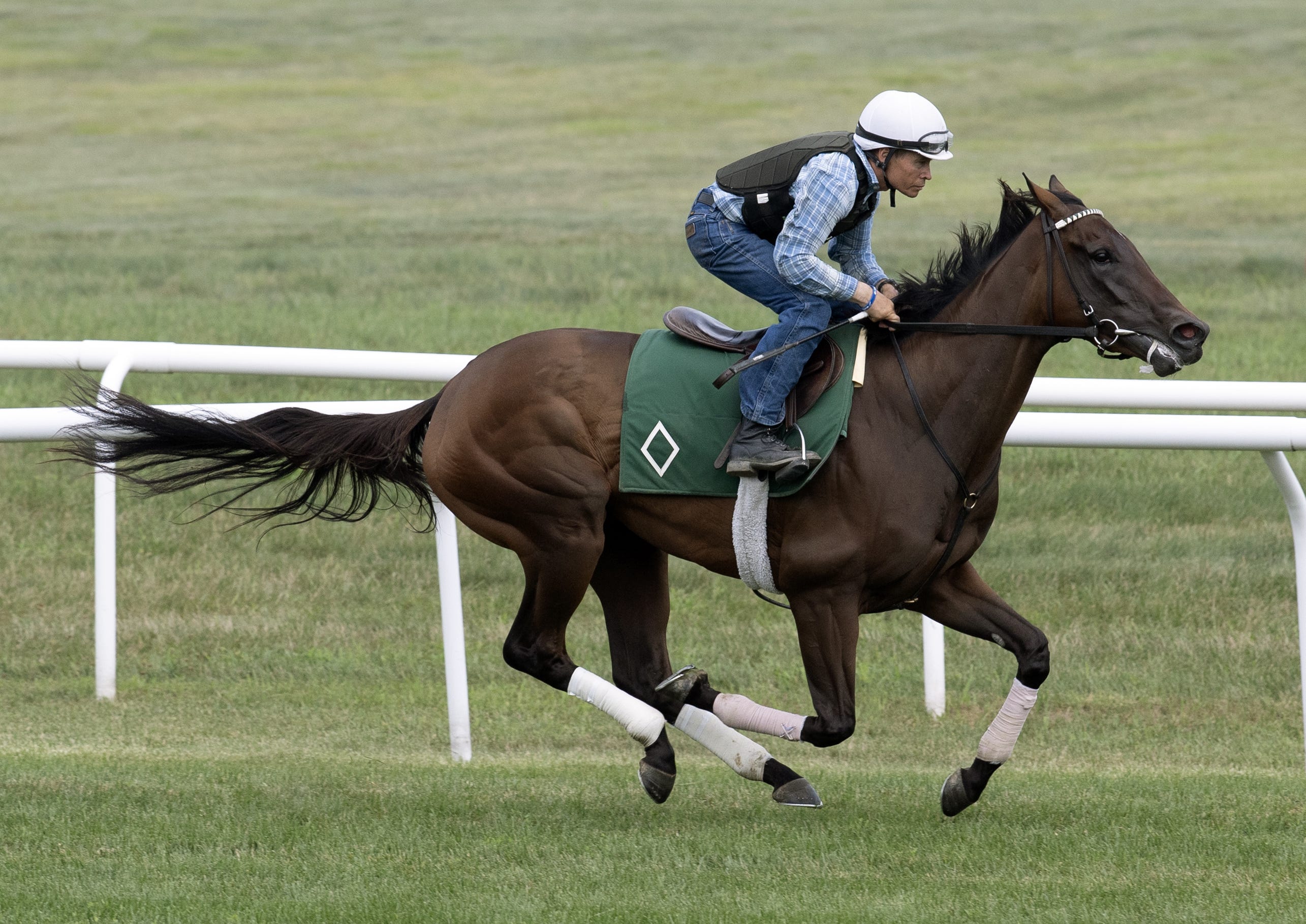 Brad Free Santa Anita Picks Brad Free Santa Anita Picks